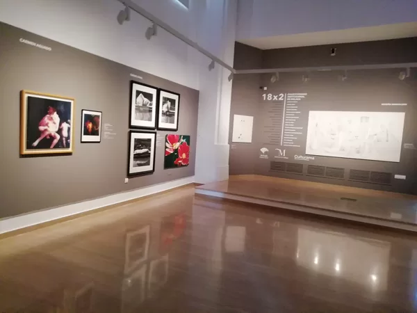 Exposiciones